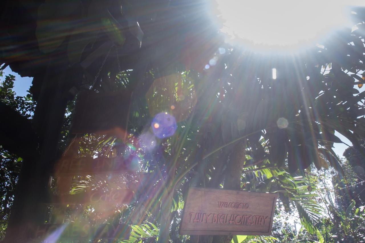 Thuy Bieu Homestay Hue Zimmer foto